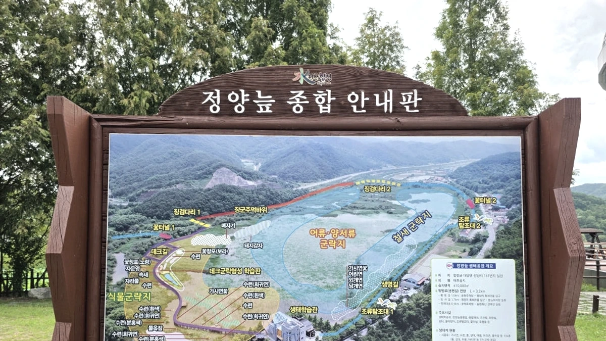 연꽃과 수련이 피어난 수면과 관찰 데크가 이어지는 밝은 장면