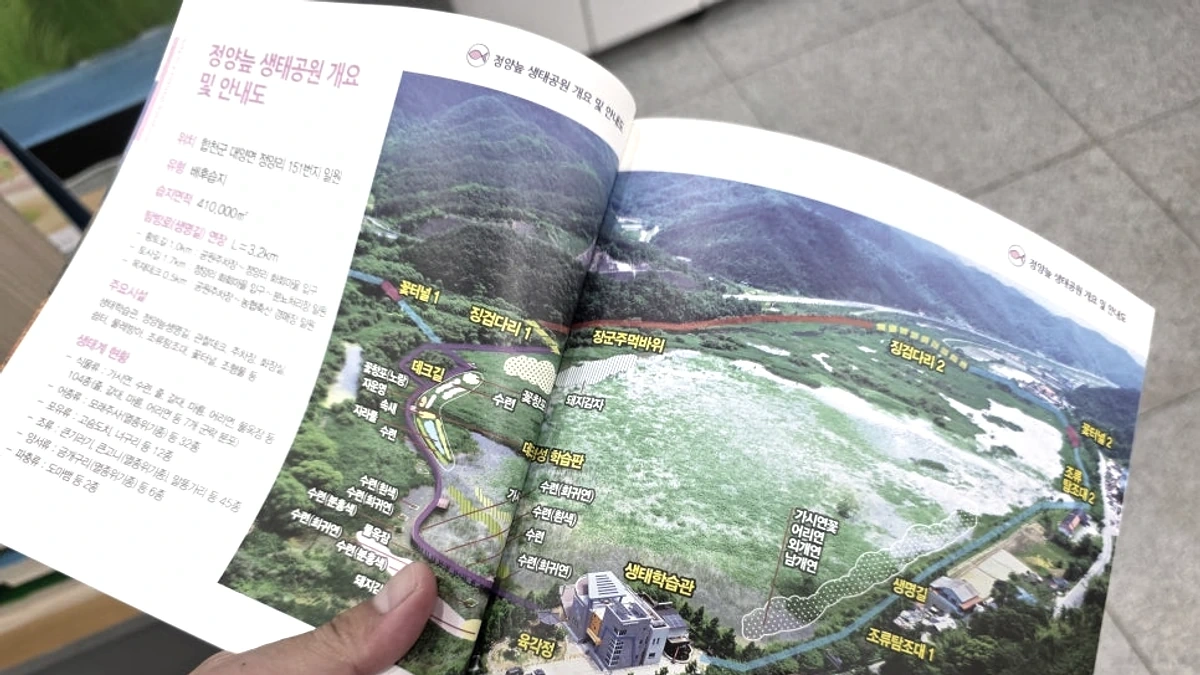 수생식물 사이 데크길과 넓은 습지 전경이 보이는 산책 풍경