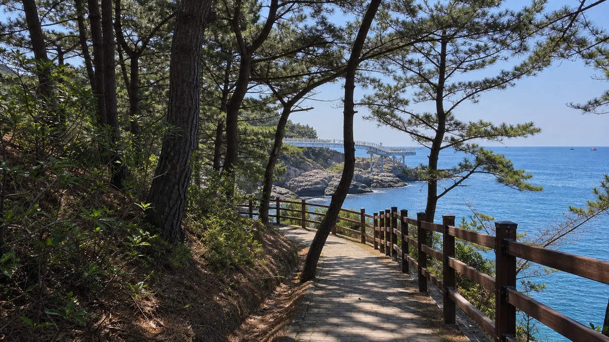 송도해수욕장에서 암남공원으로 이어지는 해안도로와 보행 데크, 소나무 절벽이 보이는 접근 동선