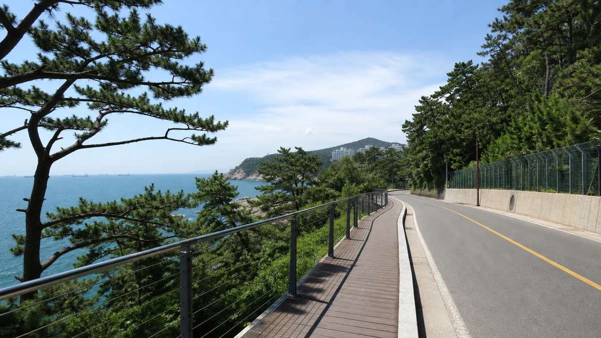 송도해수욕장에서 암남공원으로 이어지는 해안도로와 보행 데크, 소나무 절벽이 보이는 접근 동선