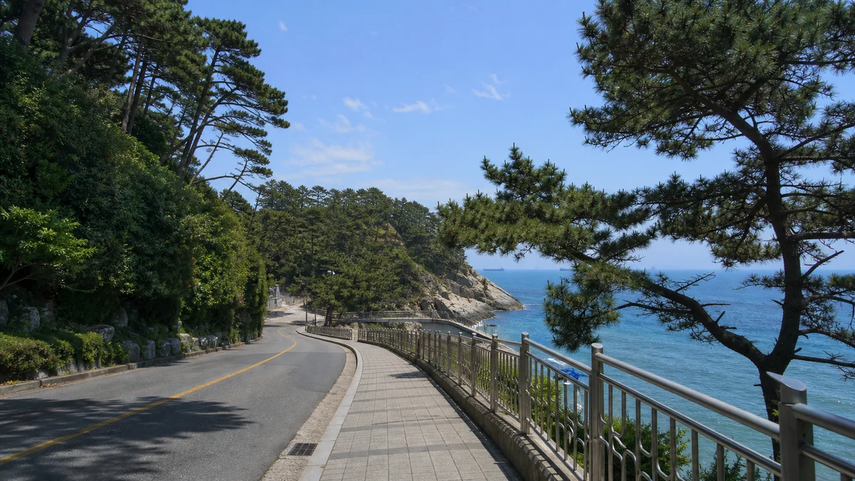 송도해수욕장에서 암남공원으로 이어지는 해안도로와 보행로, 소나무 해안이 보이는 진입 장면