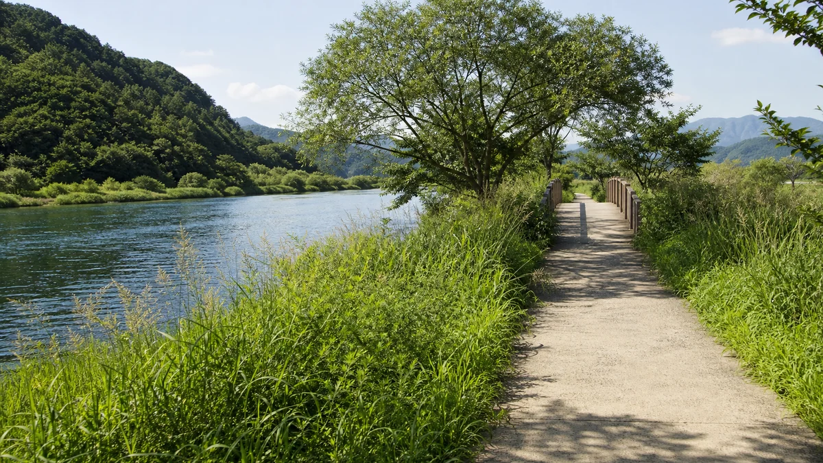 자라섬 강변 산책로와 작은 보행교로 이어지는 접근 동선