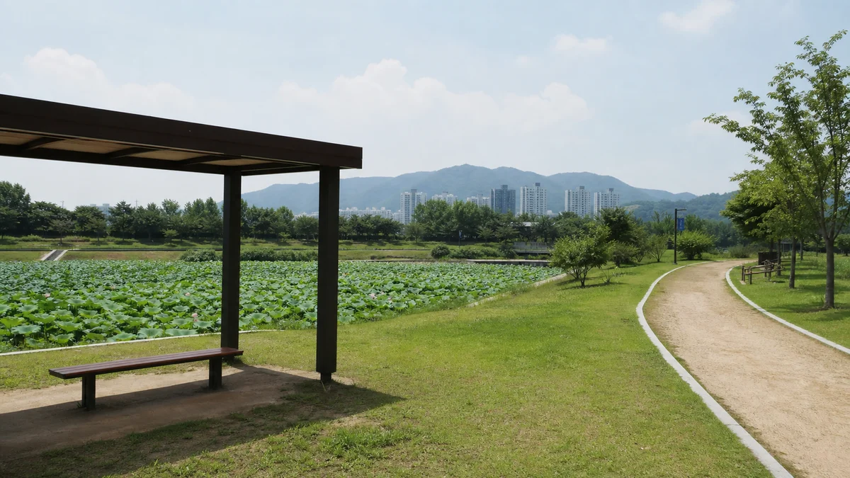 연꽃단지 가장자리의 포장 산책로와 수변 접근 동선, 먼 곳의 낮은 다리