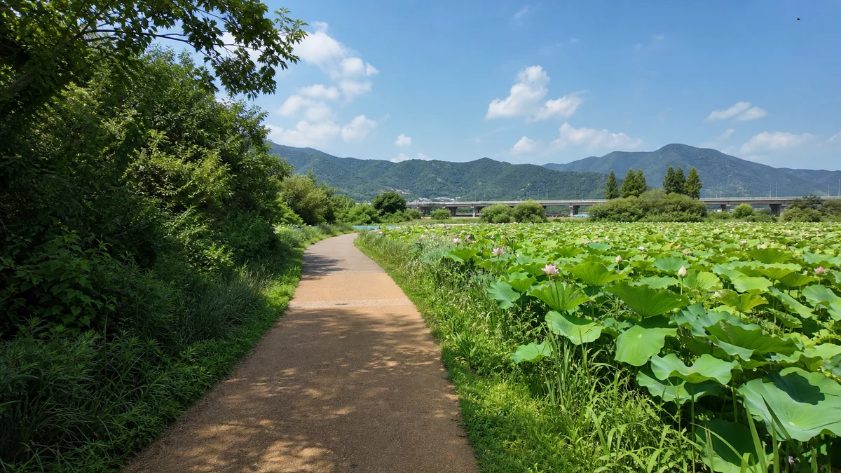 연꽃 잎 사이로 피어난 분홍·흰 연꽃과 소박한 목재 물레
