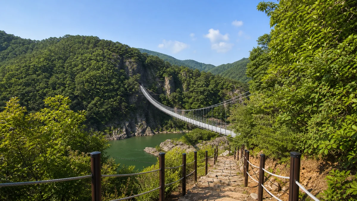 금산 월영산 출렁다리 권역 산길과 난간을 따라 바라본 녹색 협곡과 현수교, 맑은 여름빛