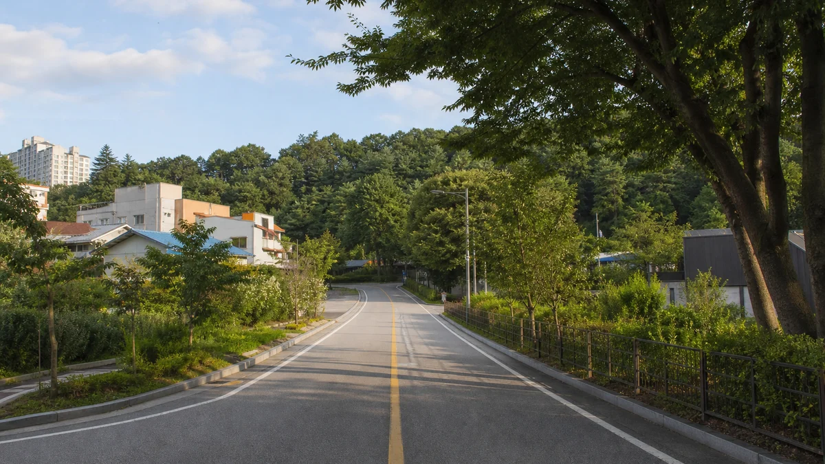 홍천 토리숲으로 이어지는 포장도로와 도시 숲 가장자리의 접근 동선