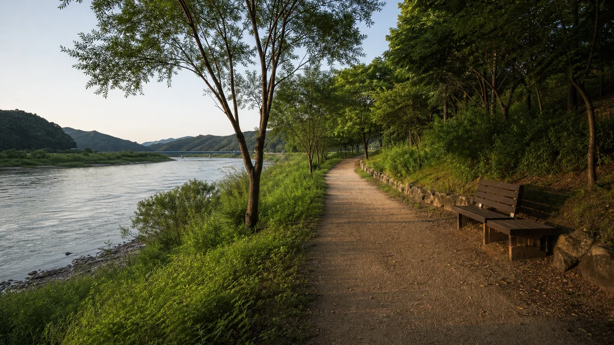 홍천강변 토리숲 주변의 그늘 산책로와 벤치, 늦은 오후 쉼 공간