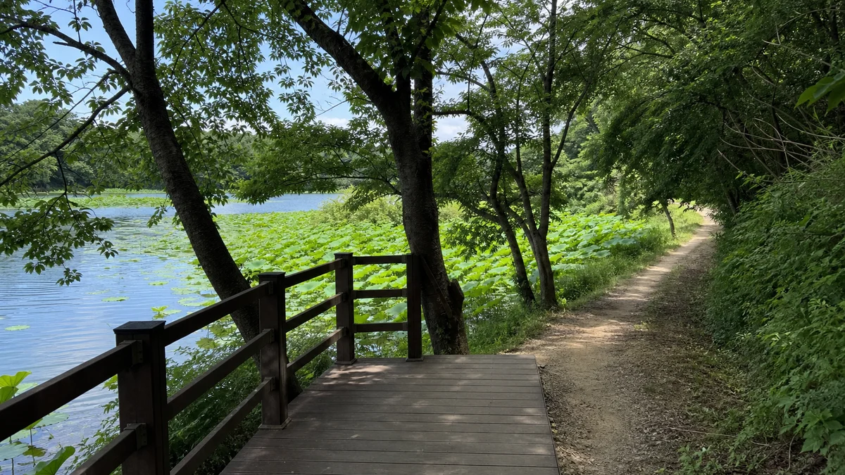 진주 강주연못 연지 옆 수변 데크와 이어지는 산책로 접근 동선