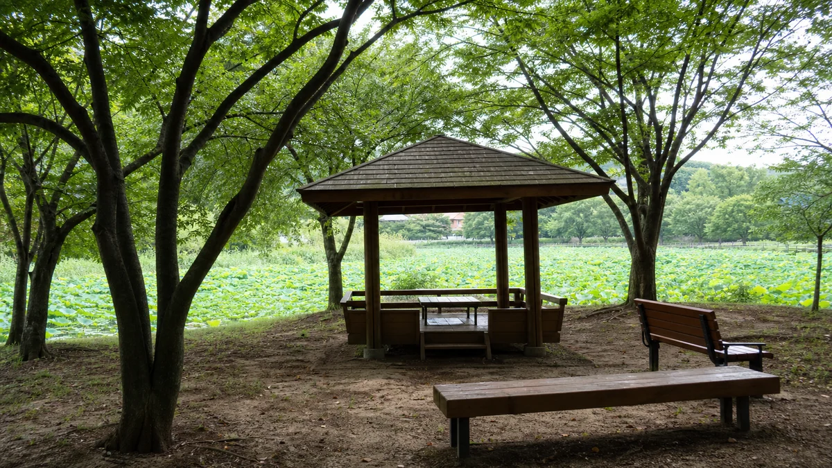 진주 강주연못의 나무 그늘 정자와 벤치, 뒤편 연지 주변 공간