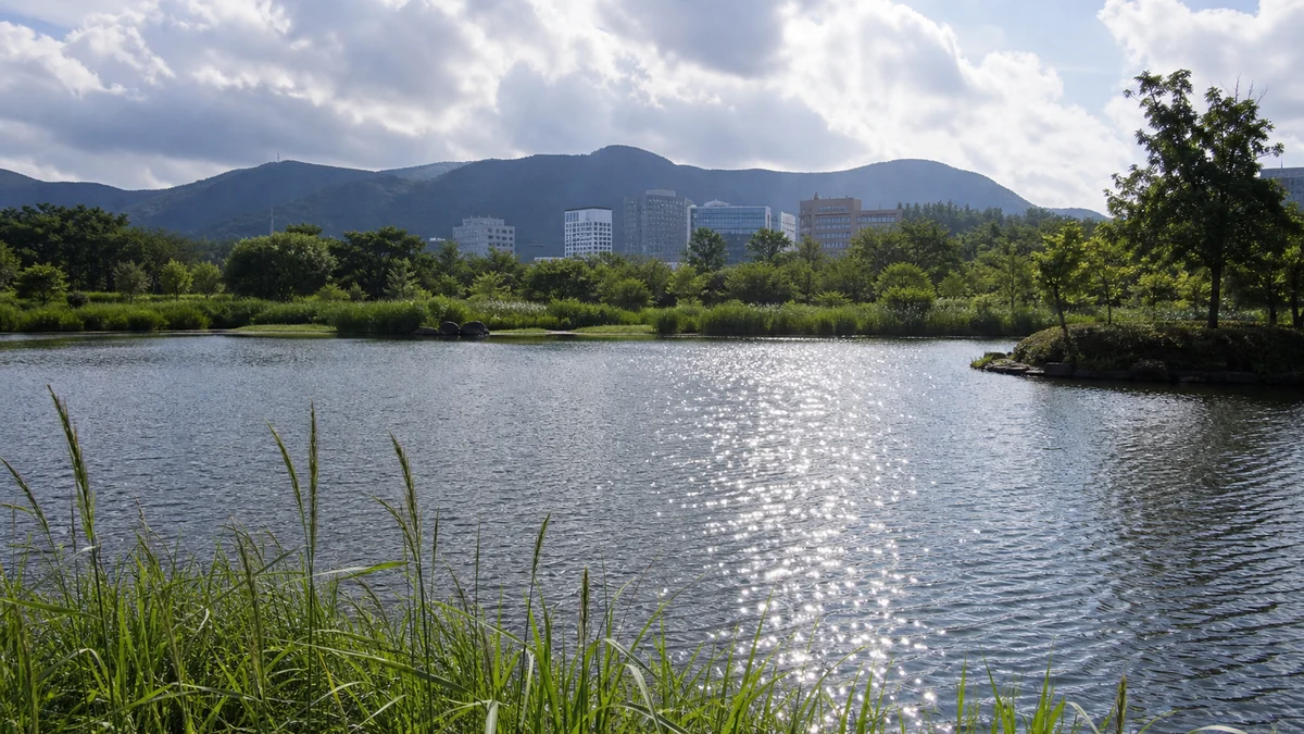 창원 신리물향기공원 호수와 비 온 뒤 반짝이는 윤슬, 비음산과 도심 배경