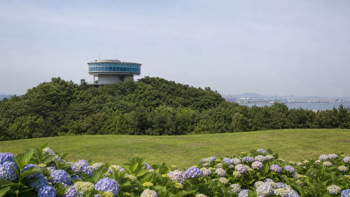 산수국 화단 너머 나무 사이로 보이는 월미전망대와 항만 조망