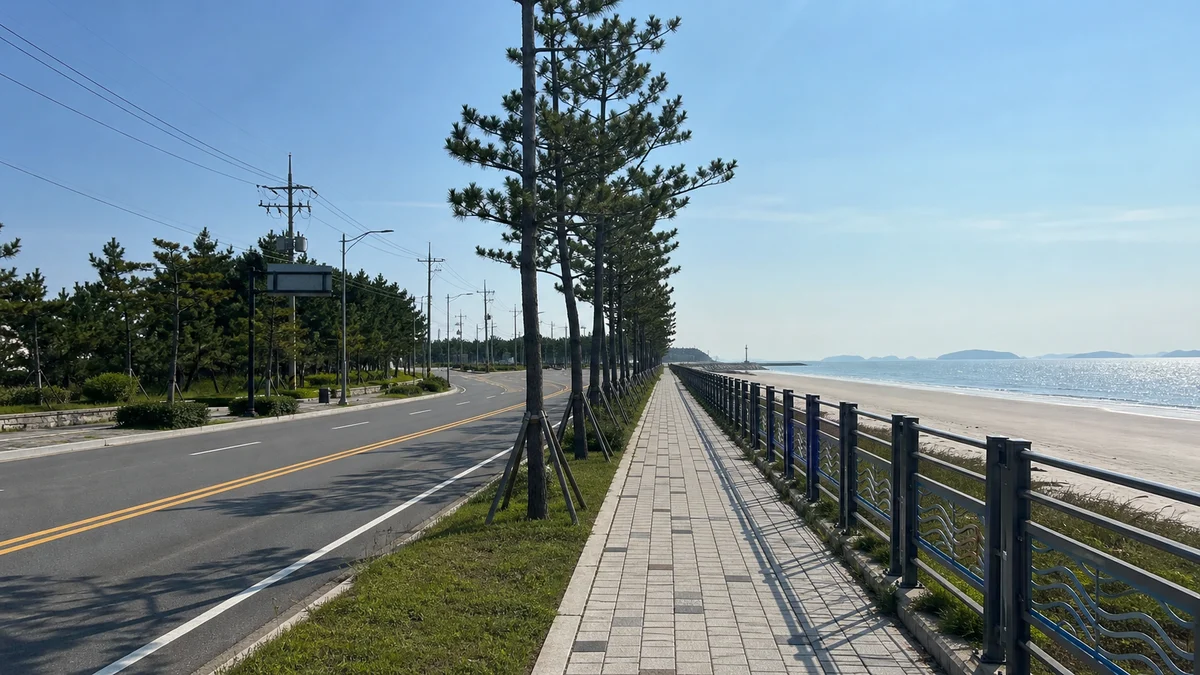 대천해수욕장 해안도로와 바다 옆 보행로가 이어지는 접근 동선