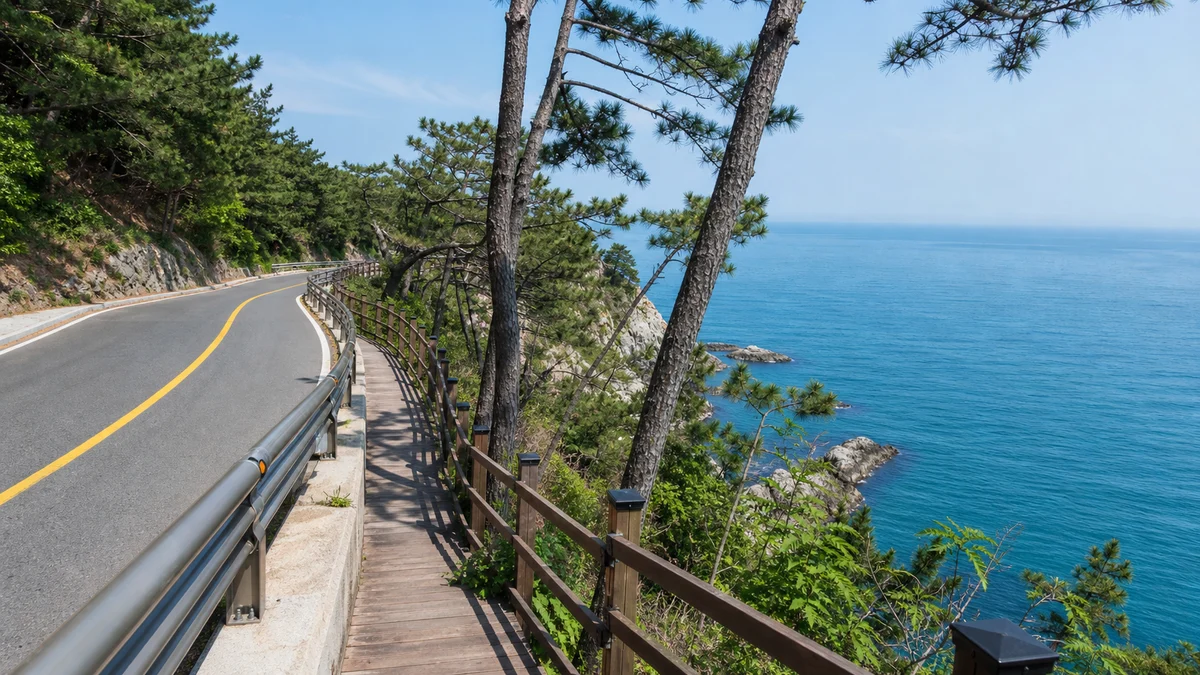 송도해수욕장에서 암남공원으로 이어지는 해안도로와 보행 데크, 소나무 절벽이 보이는 접근 동선