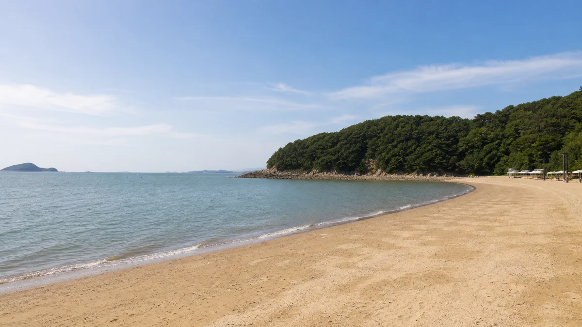 인천 중구 왕산해수욕장 모래사장과 낮은 송림 언덕이 맞닿은 낮 풍경
