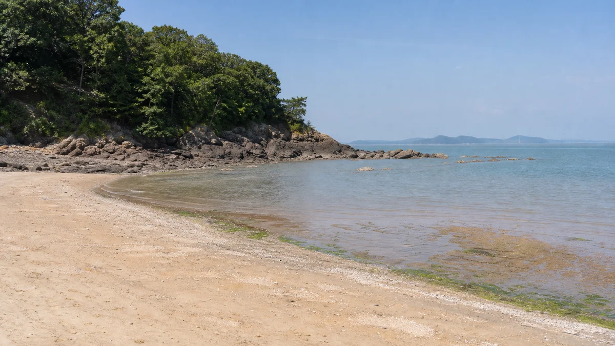 인천 중구 무의도 하나개해수욕장 얕은 바다와 섬 숲 가장자리의 주변 공간