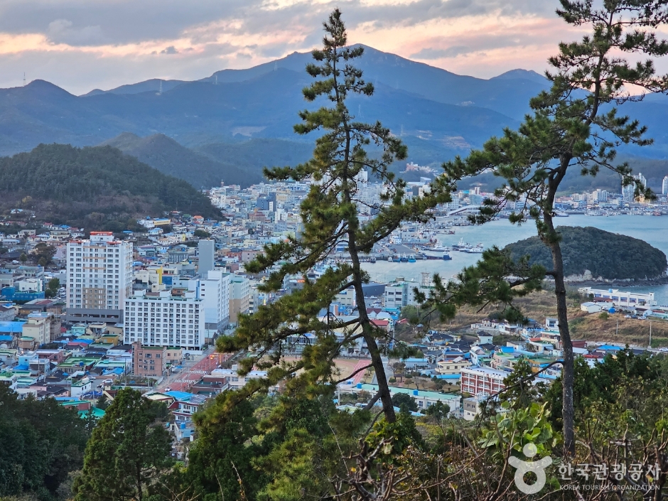 완도타워 - 완도여행 여행