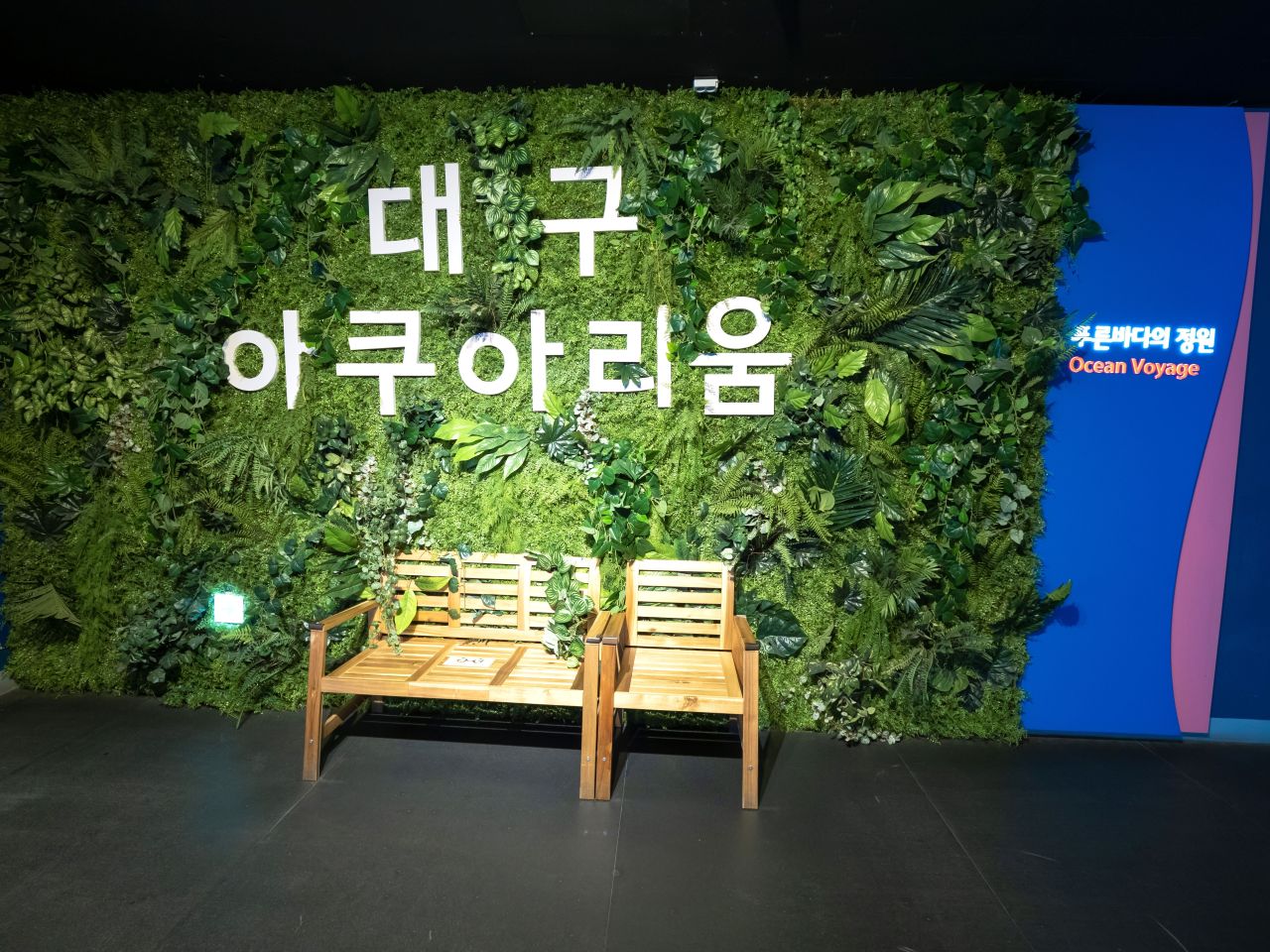 대구아쿠아리움 - 대구여행 여행