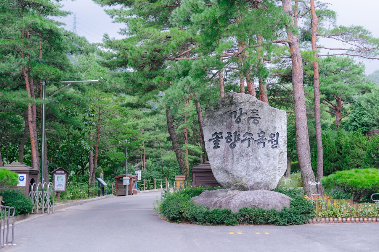 장생포 고래문화특구 - 울산 여행