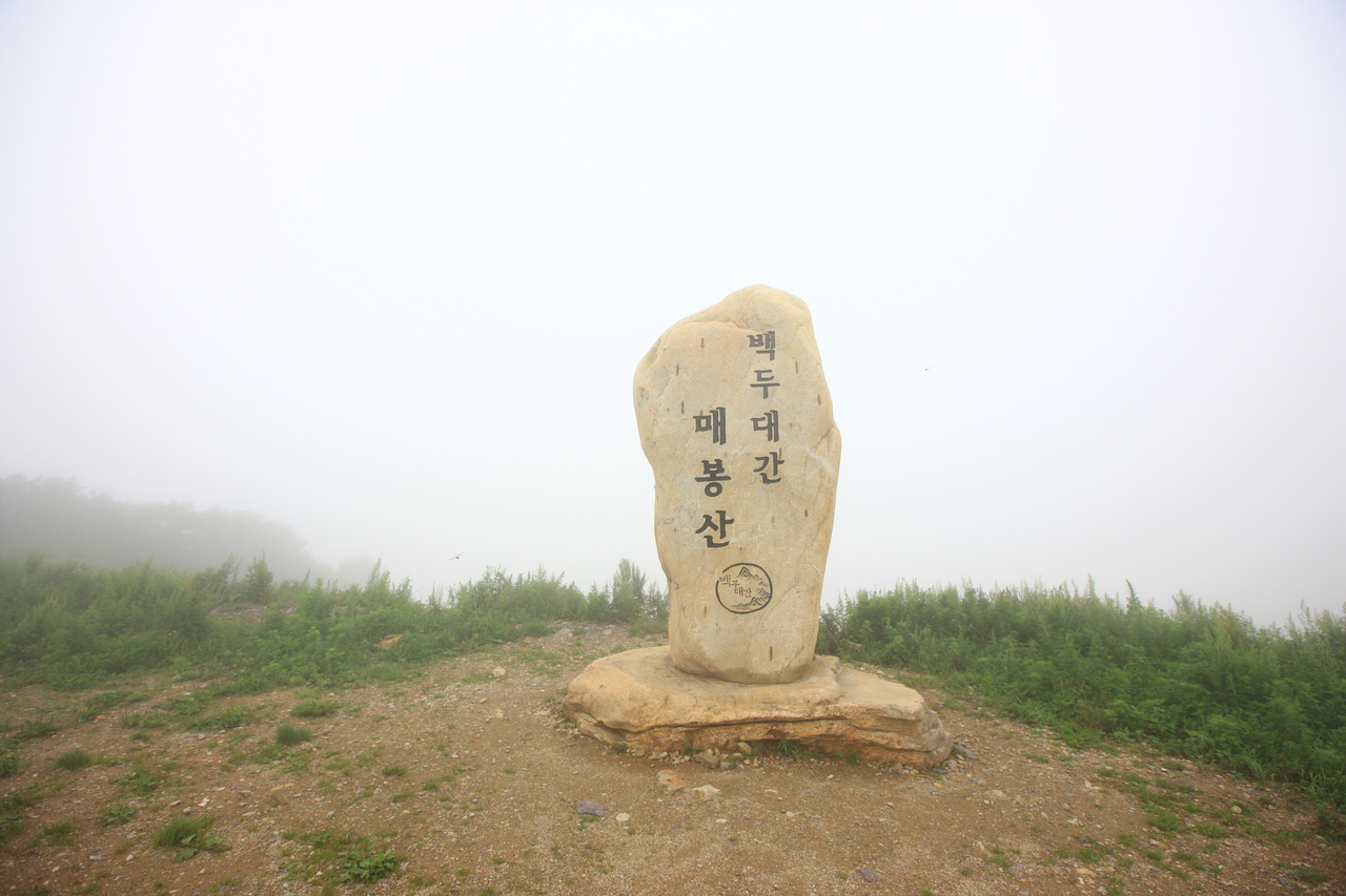 바람의언덕 - 외도여행 여행