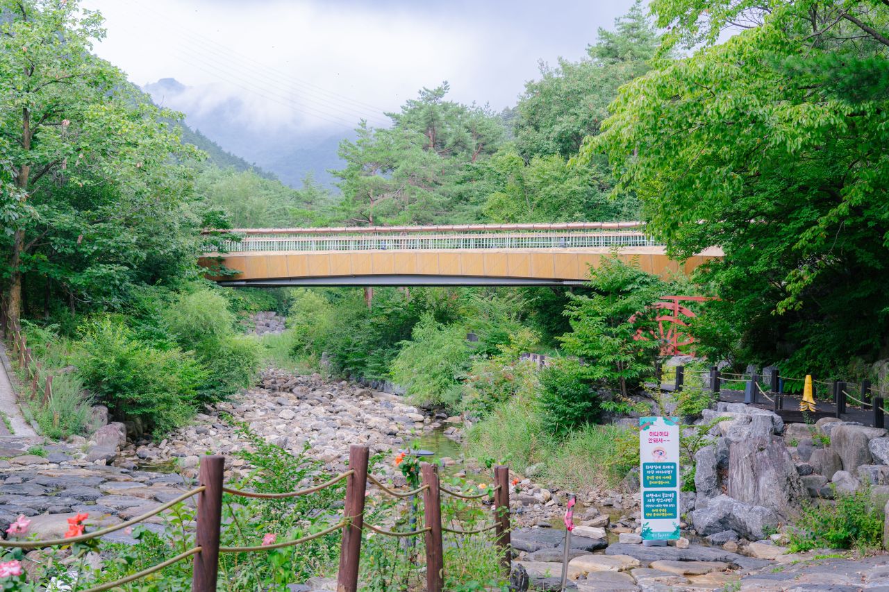 영남알프스: 8월 울산 보양식 맛집의 기점 - 울산 여행
