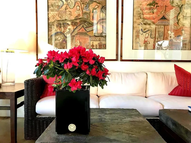 라차만카 호텔 호텔 사진