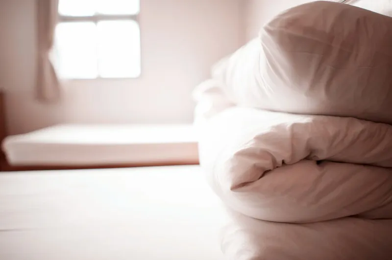 뉴 메이 플라워 호텔 호텔 사진