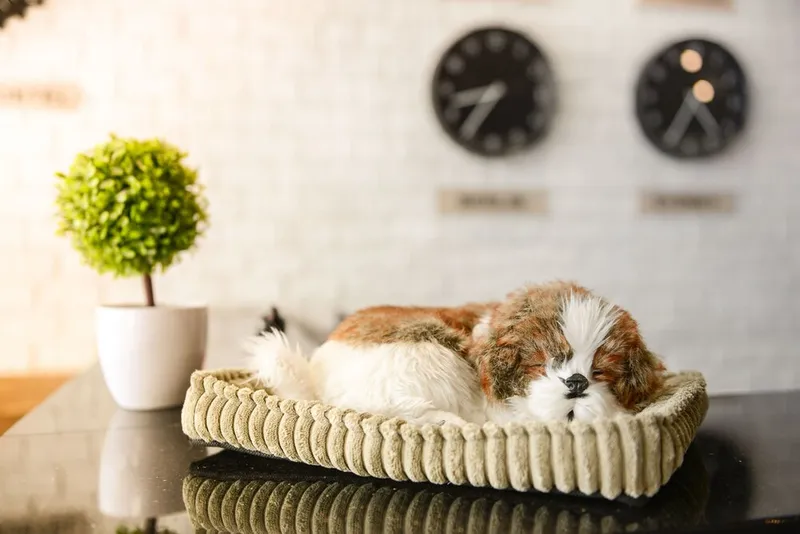 더 큐브 호스텔 실롬 호텔 사진