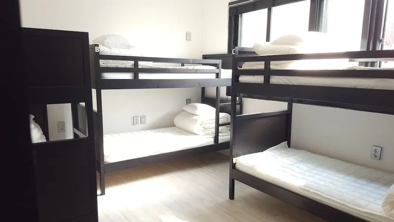 아마존게스트하우스 - 호스텔 호텔 사진