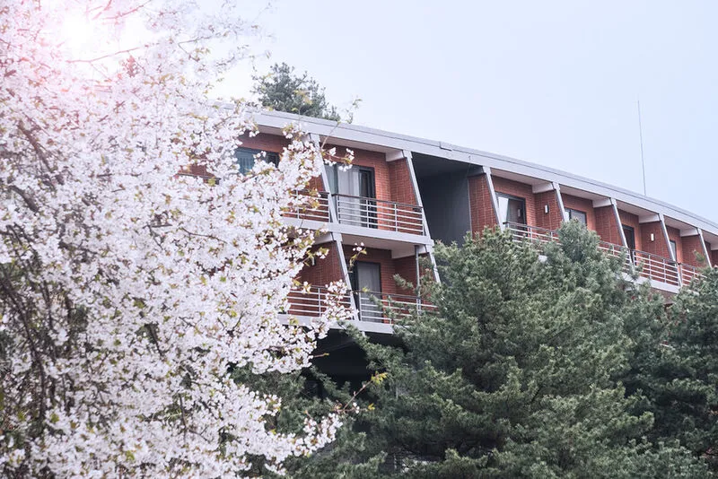 더글라스 하우스 호텔 사진