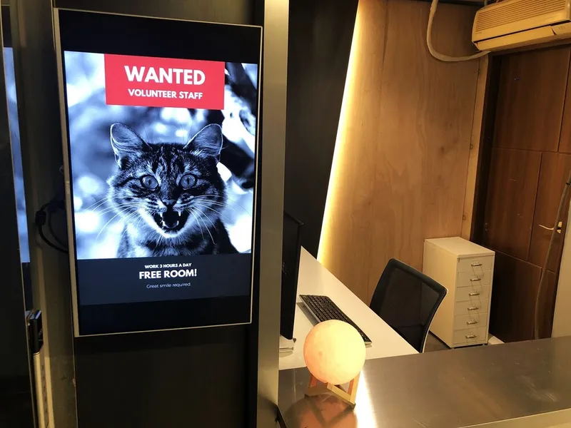 아폴로 게스트하우스 호텔 사진