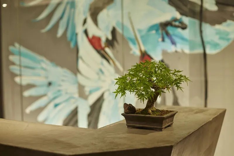 아사쿠사 코코노쿠라부 호텔 사진