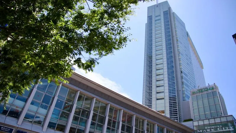 시부야 엑셀 호텔 도큐 호텔 사진