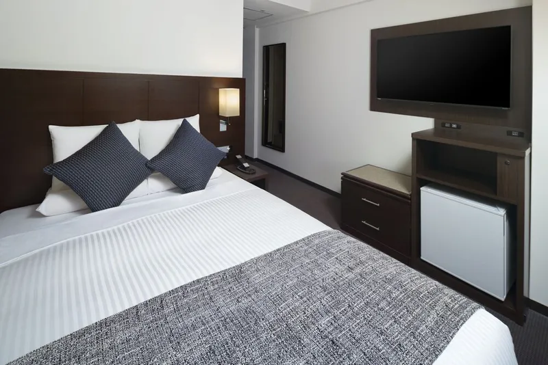 아트 호텔 니포리 룽우드 호텔 사진