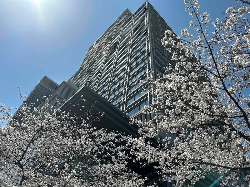 호텔 몬토레 그라스미아 오사카 호텔 사진