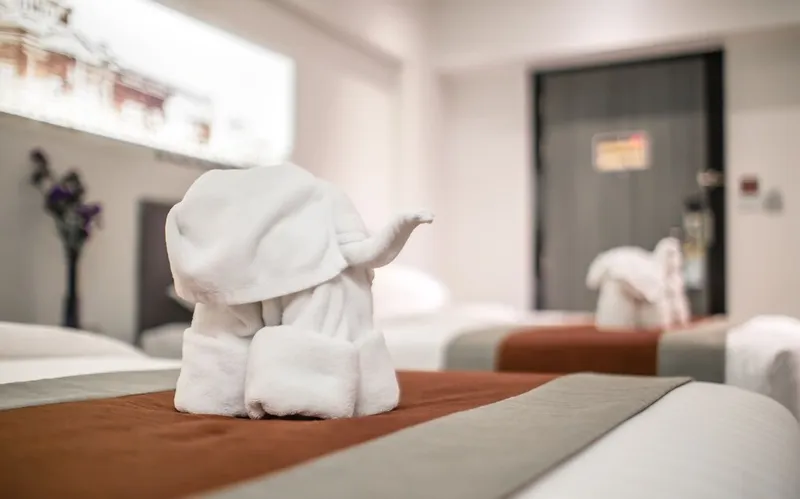 누보 시티 호텔 호텔 사진