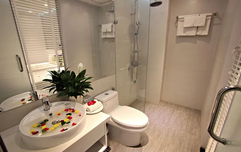 하노이 핑 럭셔리 호텔 호텔 사진