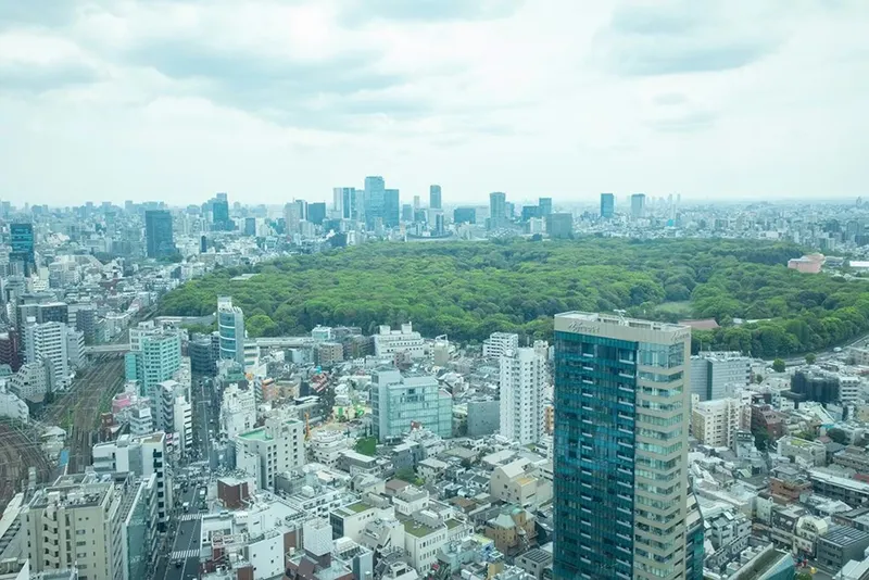 센추리 서던 타워 호텔 호텔 사진