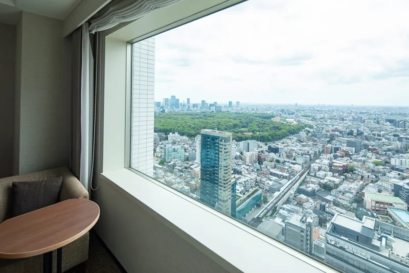 센추리 서던 타워 호텔 호텔 사진