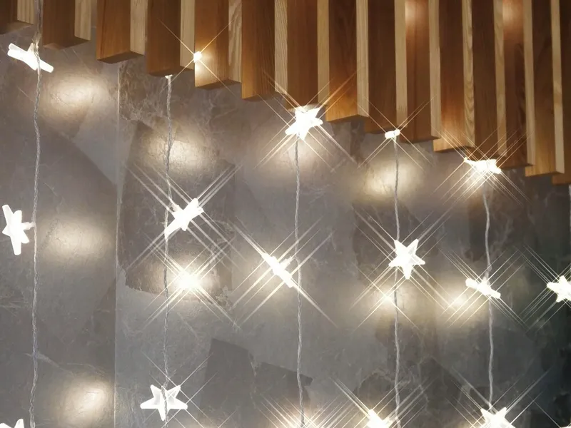 베스트 웨스턴 호텔 피노 도쿄 아키하바라 호텔 사진