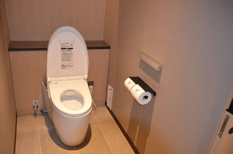 더 블러썸 하카타 프리미어 호텔 사진