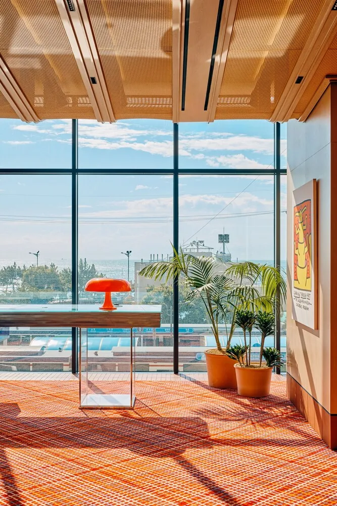 더 쿨리스트 호텔 호텔 사진