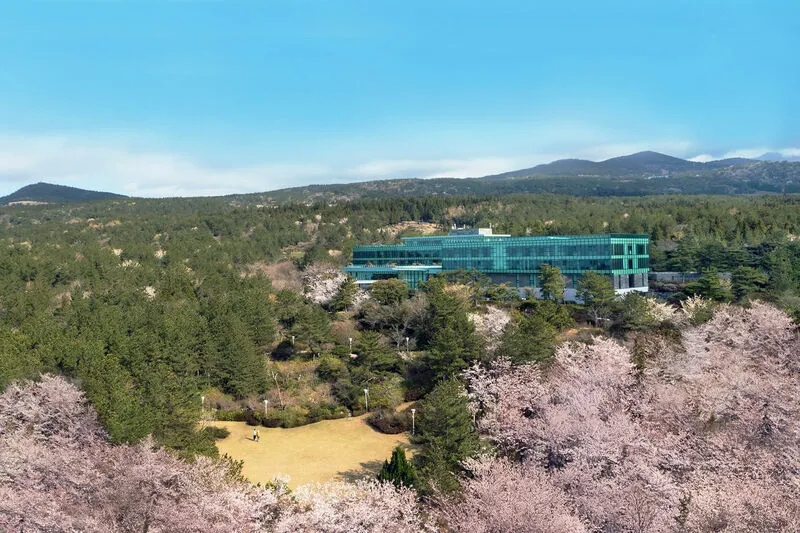 위호텔제주(WE호텔제주) 호텔 사진