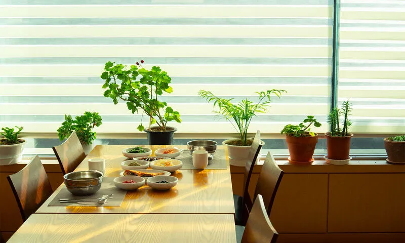 팜파스리조트 속초 호텔 사진