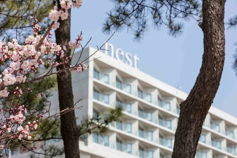 네스트호텔 인천 호텔 사진