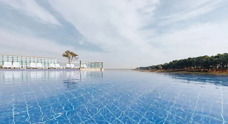 네스트호텔 인천 호텔 사진