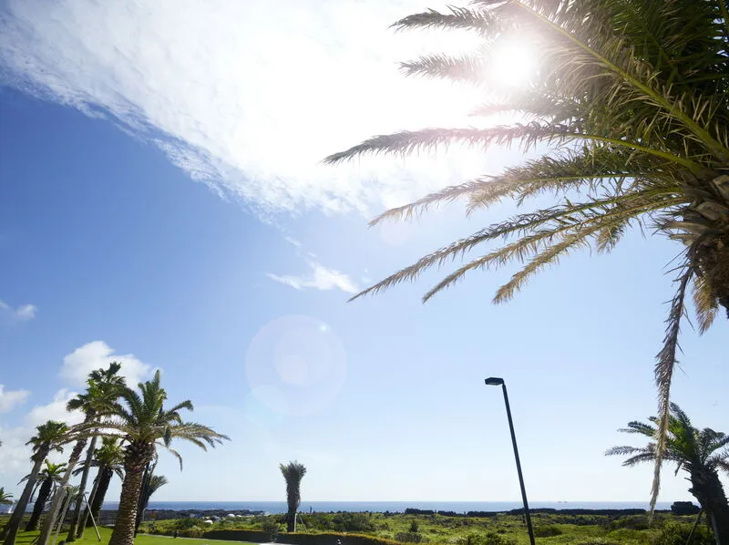 해비치호텔&리조트 호텔 사진