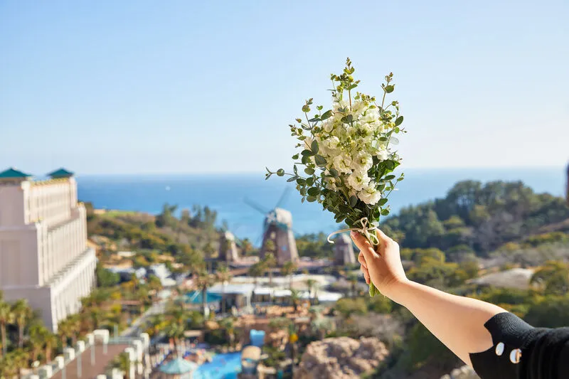 롯데호텔 제주 호텔 사진