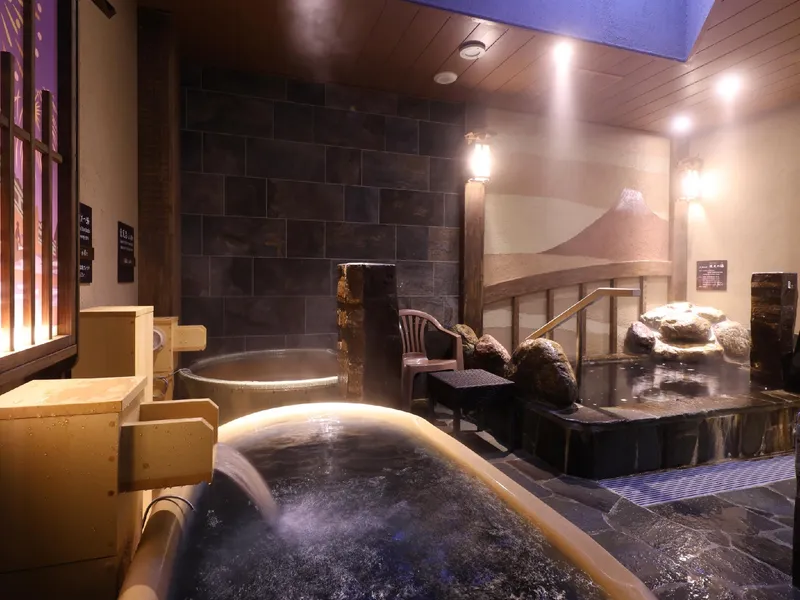 온야도 노노 아사쿠사벳테이 핫 스프링 호텔 사진