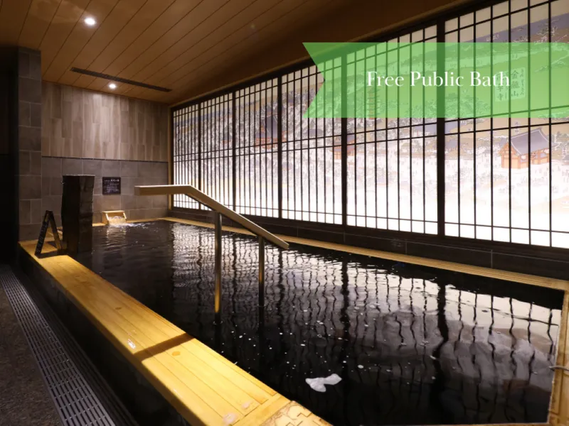 온야도 노노 아사쿠사벳테이 핫 스프링 호텔 사진