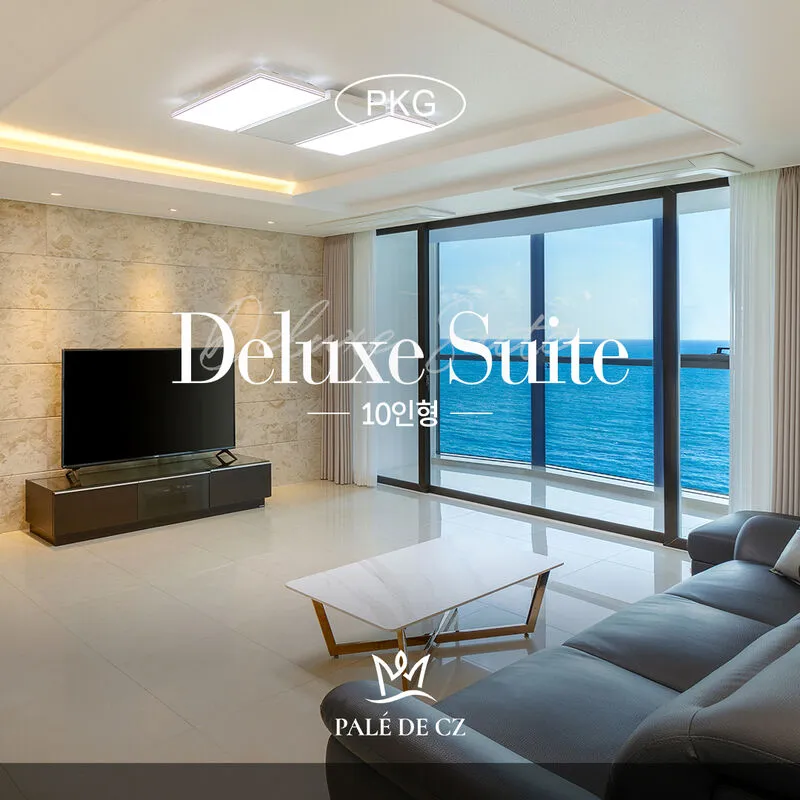 팔레드시즈 호텔 사진